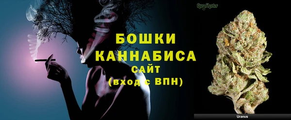 mdma Новозыбков