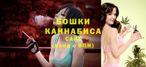 амф Новокубанск