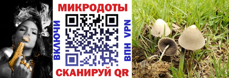 блэк спрут зеркало  Уржум  Галлюциногенные грибы Magic Shrooms  дарнет шоп 